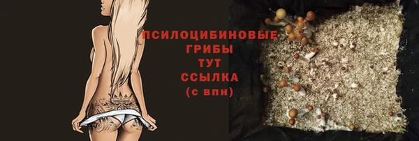 2c-b Карпинск